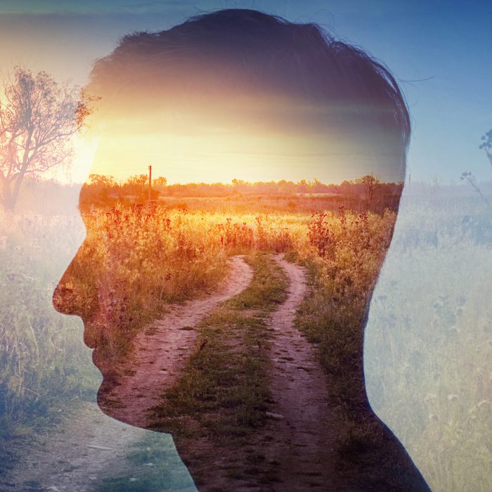 Man silhouette on rural landscape background. Psychiatry and psychology concept.